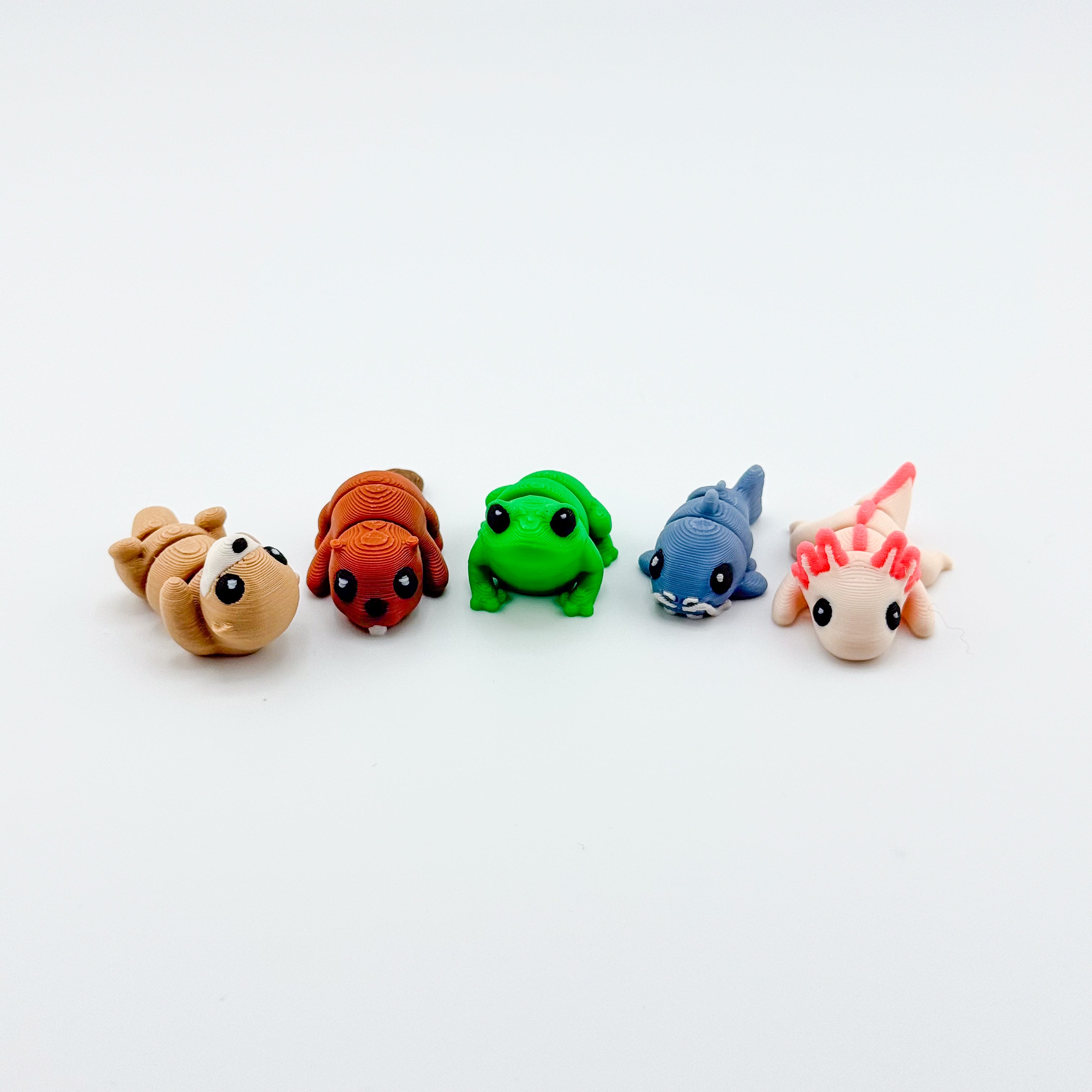 Freshwater Critter Collection