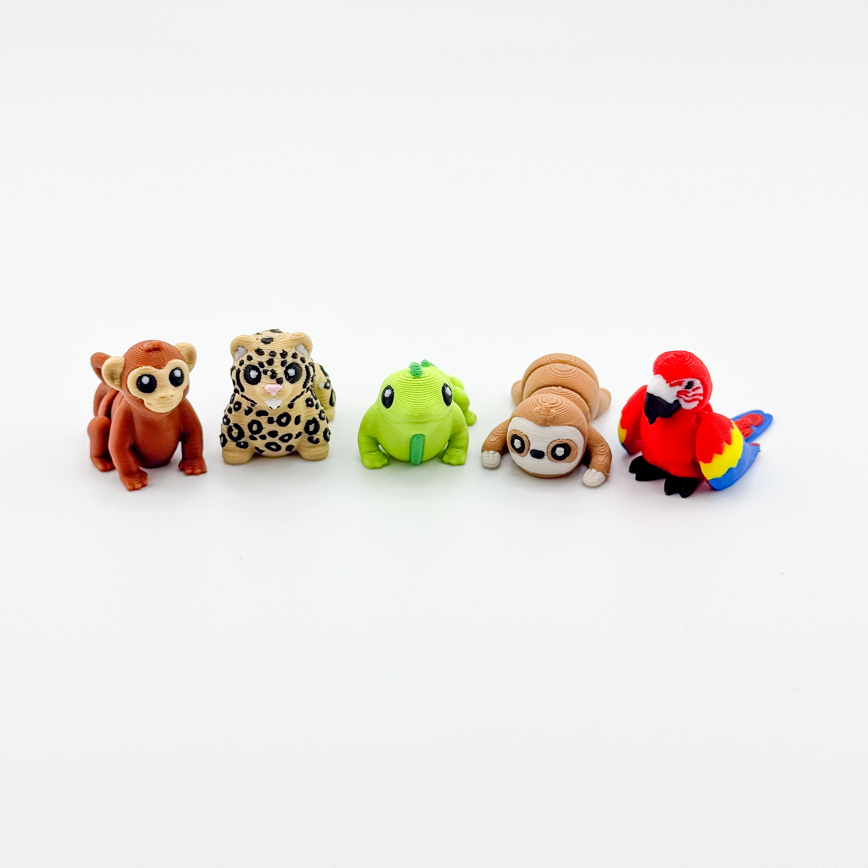 Rainforest Critter Collection