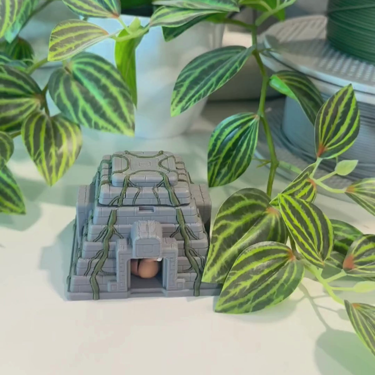 Rainforest Temple CritterPod™