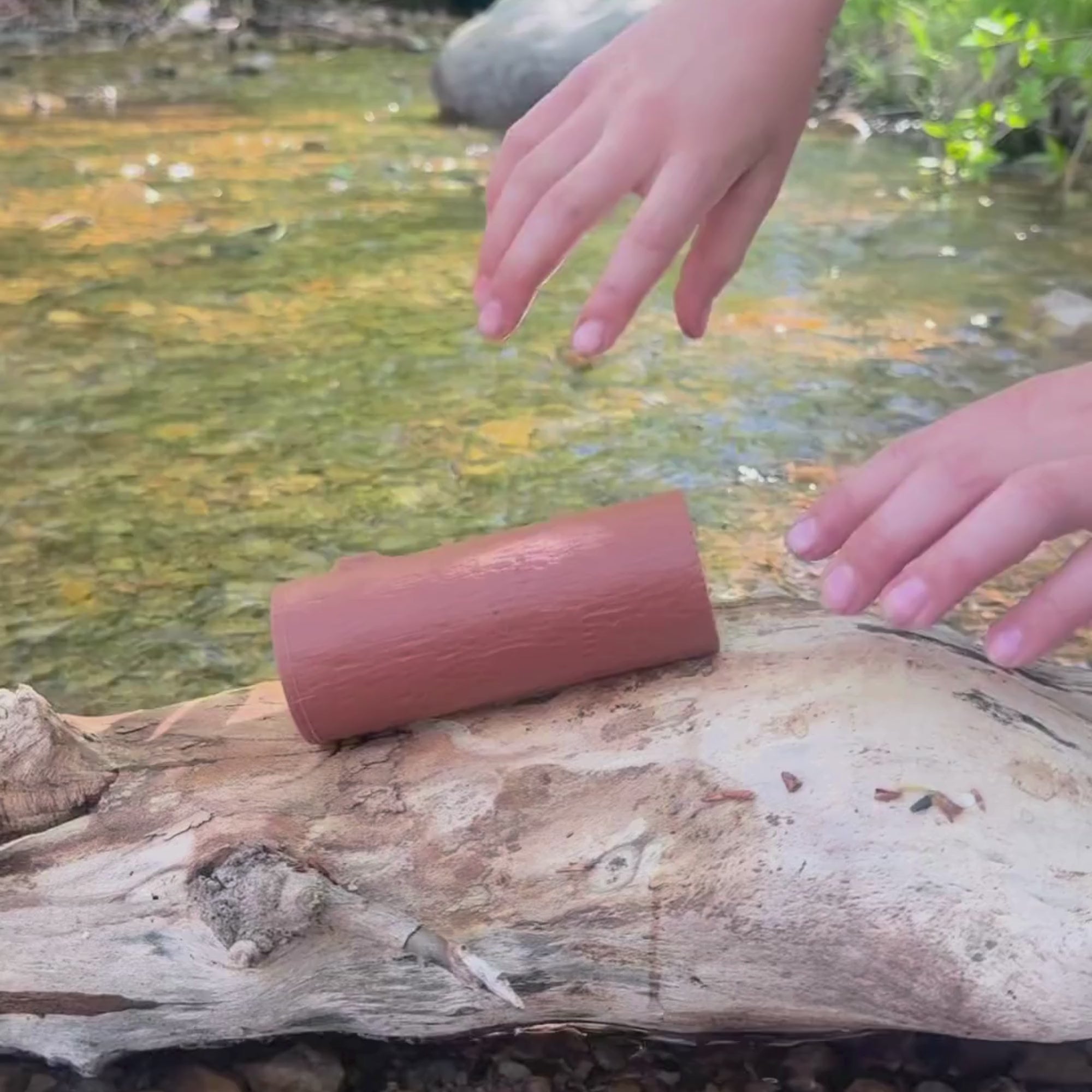 Freshwater Log CritterPod™